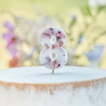 Picture of Pressed petal  number 8 birthday cake candle