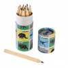 Picture of Set of 12 coloured pencils - Dinosaur