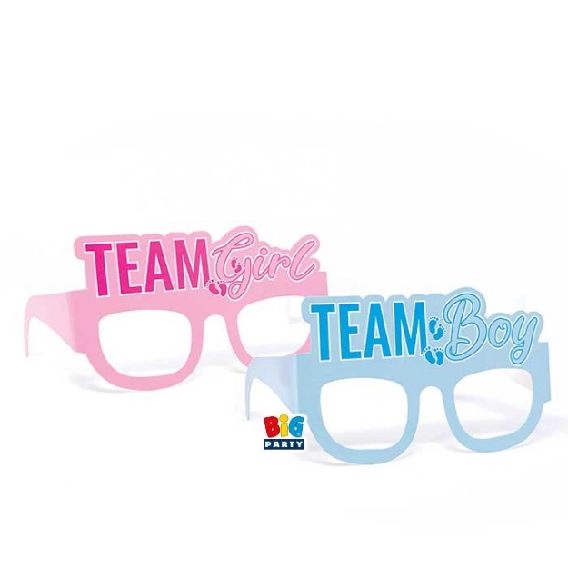Picture of Fun glasses - Team Boy-Team Girl