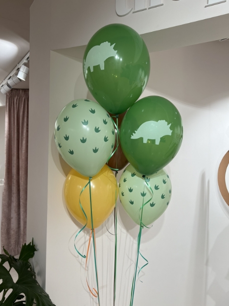 Picture of Balloon bouquet  filled with helium - Dinosaurs (6 balloons)