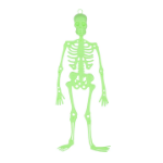 Picture of Halloween hanging skeleton glow in the dark 33cm