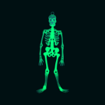 Picture of Halloween hanging skeleton glow in the dark 33cm